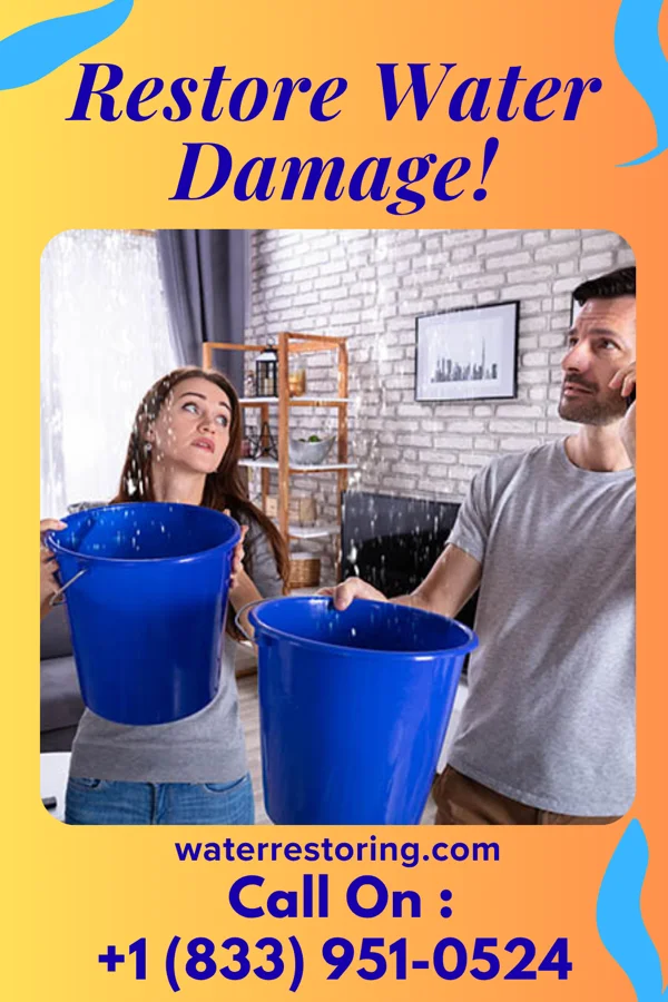 water restoration Eco Water Mitigation Experts Apple Creek
