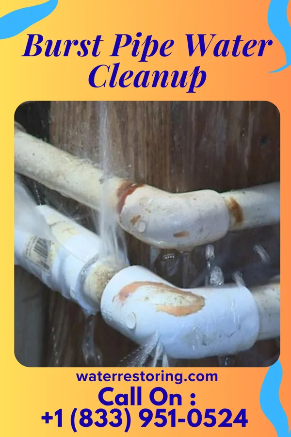 Burst Pipe Water Cleanup in Apple Creek, OH