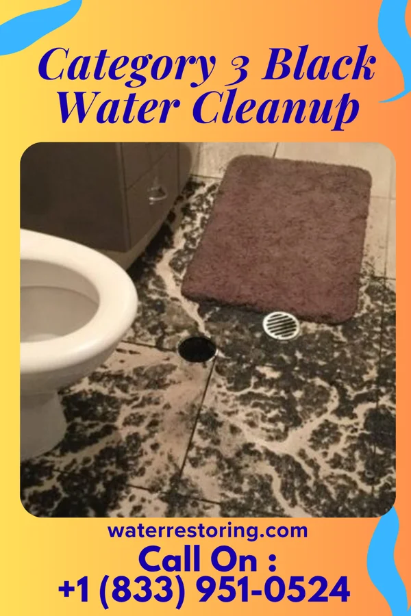 Category 3 Black Water Cleanup in Apple Creek, OH