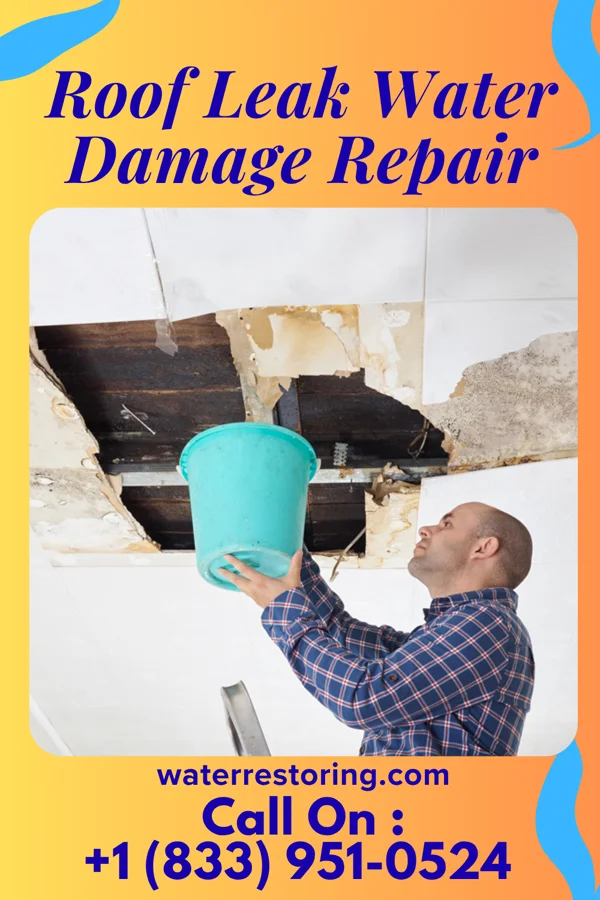 Roof Leak Water Damage Repair in Apple Creek, OH